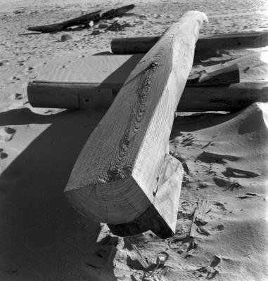 Jangadas e jangadeiros