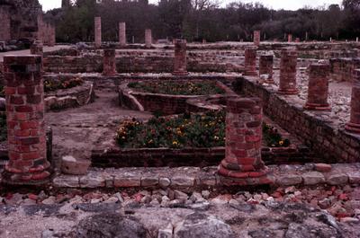 Museu Monográfico e Ruínas de Conimbriga