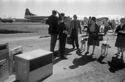 Aeroporto de Brasília