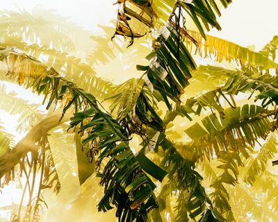 Detalhe Vallenato, São Paulo