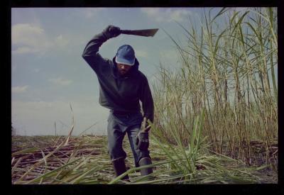 Produção de filme institucional sobre usinas de açúcar