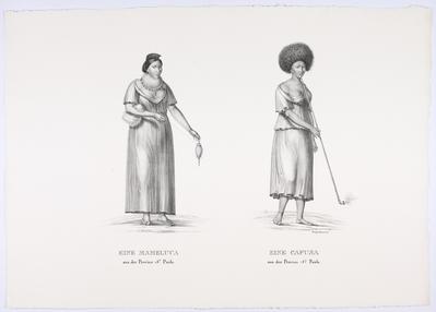 (Mameluca da Província de São Paulo)
(Mameluca da Província de São Paulo
Cafusa da Província de São Paulo)