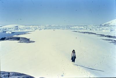 Laís Bodanzky, Port Charcot