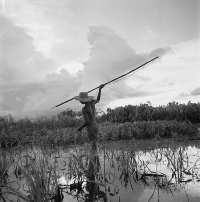 Caça de jacarés na Ilha Mexiana