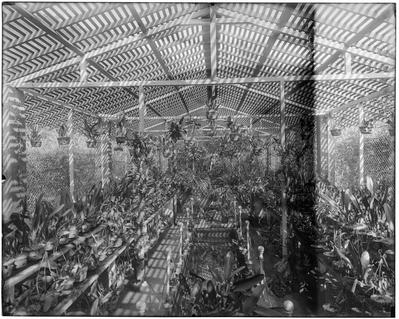 Bromeliário do Jardim Botânico