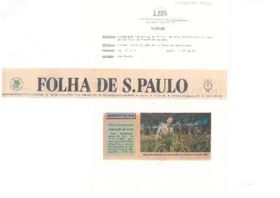 Agrofolha: Aficcionada monta exposição de ervas