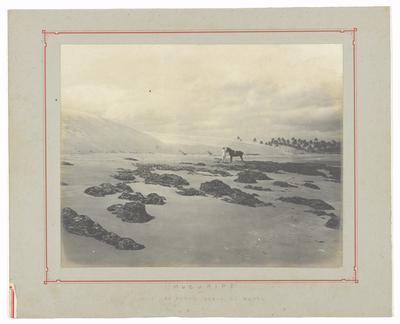 Local de estudo para construção do porto de Fortaleza