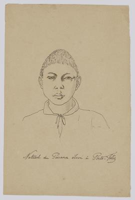 Natural do Paraná criado em Porto-Feliz