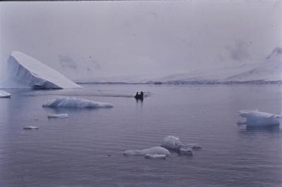 Aventuras de Igor na Antártida