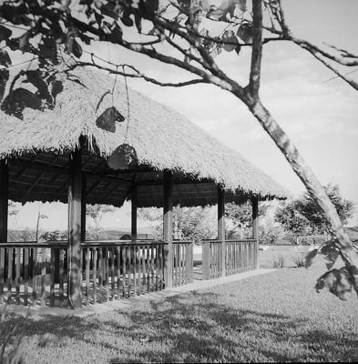 Lucjan Korngold - fazenda