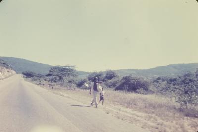 Rodovia Rio-Bahia (BR-116)