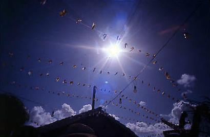 Série Bahia Antiga e Nova