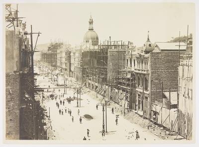 Construção da Avenida Central - plantio de mudas de Pau-Brasil nos passeios