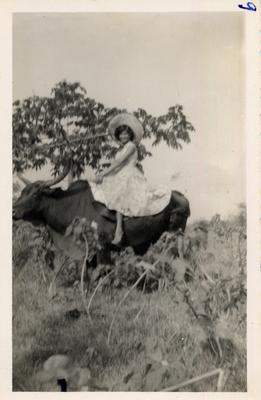 Fotografia; autor: Não identificado