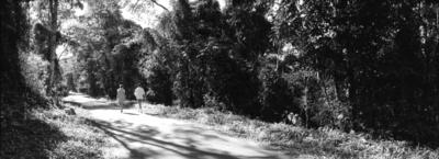 Parque da Cantareira