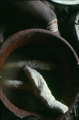 Série Xingu - Preparação do tepeá (farinha de mandioca)