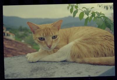 Familiares e amigos de Jorge Bodanzky