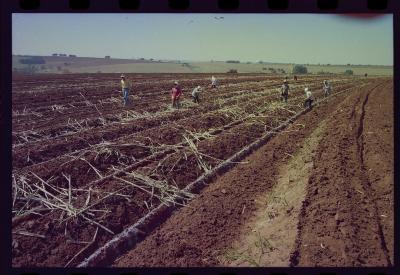 Produção de filme institucional sobre usinas de açúcar