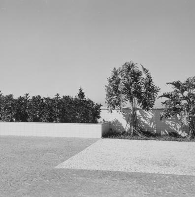 Cidade Universitária, projeto de Jorge Machado Moreira e Burle Marx