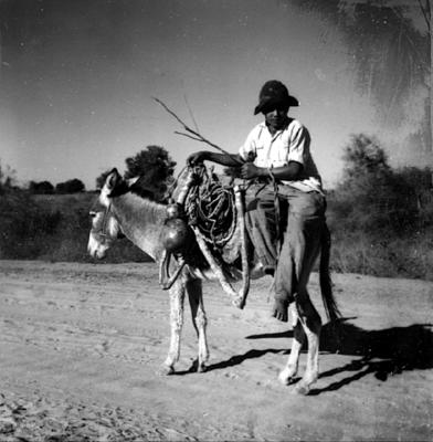 Romeiro montado em jegue