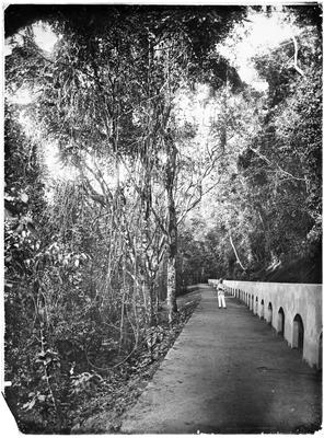 Aqueduto da Lagoinha