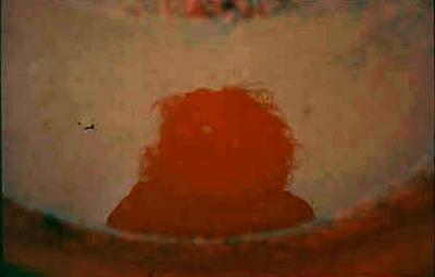 Série Xingu - Urucum