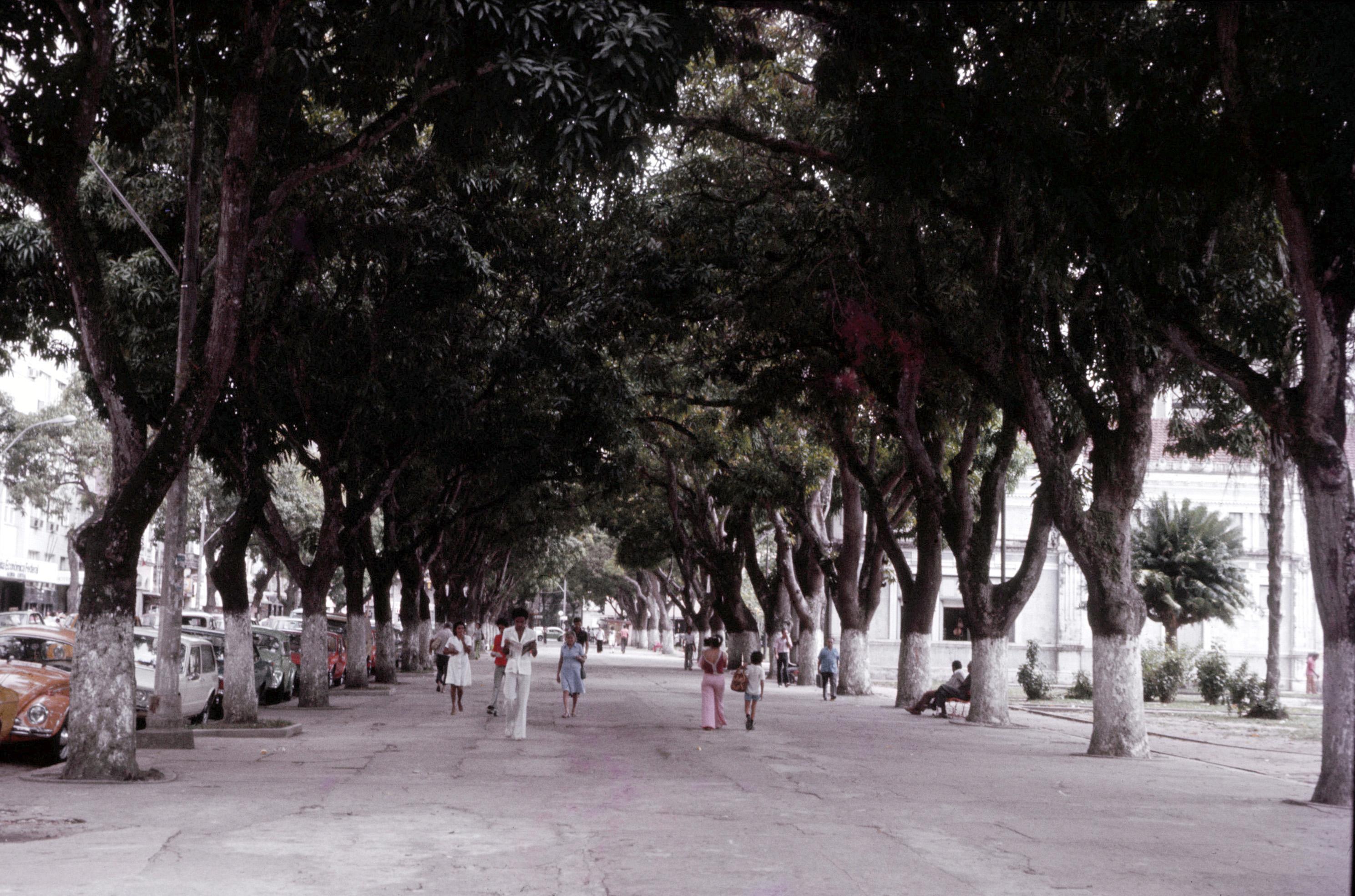 Túnel de mangueiras, calçadão da Praça da República