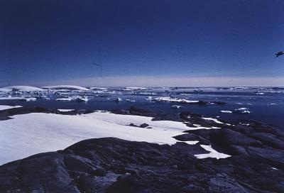 Aventuras de Igor na Antártida