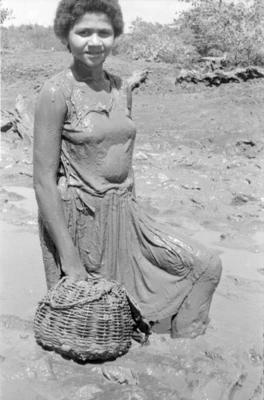 Série Caranguejeiras - Catadora de caranguejo