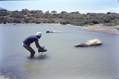 Jorge Bodanzky filmando