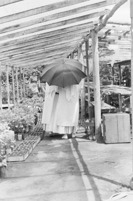 Freiras de Caraguatatuba