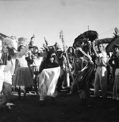 Bumba meu boi, festa popular