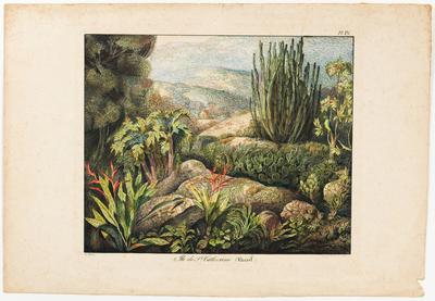 Ile de Ste. Catherine (Brésil.)