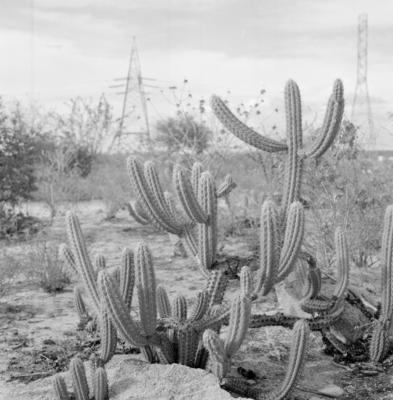 Arredores da Cachoeira de Paulo Afonso