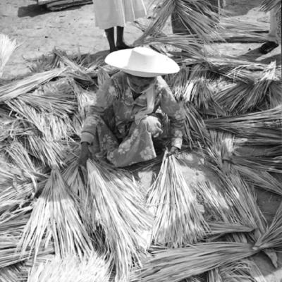 Feira de arte popular