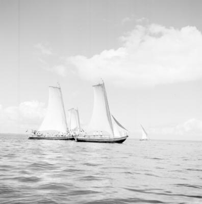 Procissão de Nosso Senhor dos Navegantes