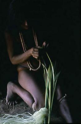 Série Xingu - Confecção de palha de buriti
