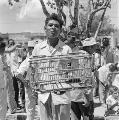 Feira dos Passarinhos