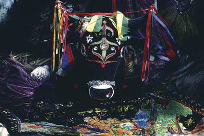 Série Bumba-meu-boi - Festa de São João