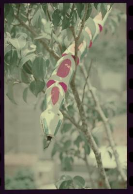 Artesanato de miriti