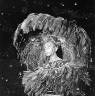 Bumba meu boi, festa popular