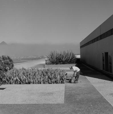 Cidade Universitária, projeto de Jorge Machado Moreira e Burle Marx