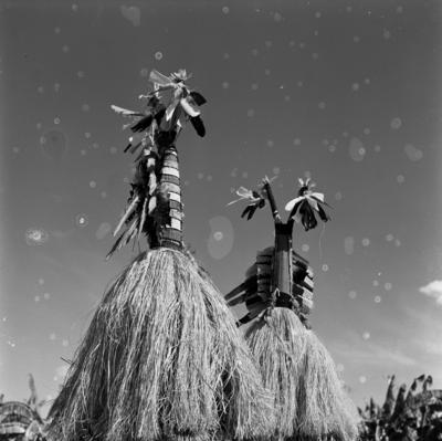 Ritual ou Dança de Aruanã do povo Karajá