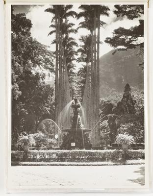 Jardim Botânico - Aleia das Palmeiras Imperiais