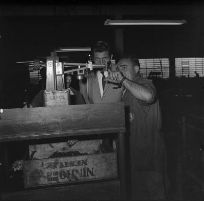 Fábrica da Amortex - reportagem