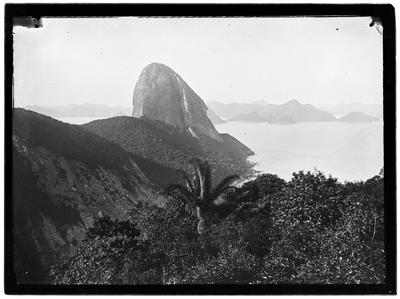 Morro do Pão de Açúcar; visto do Morro da Babilônia