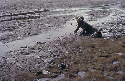 Série Caranguejeiras - Catadora de caranguejo