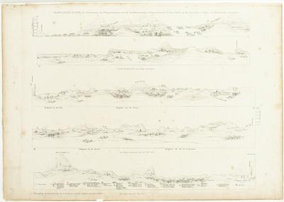 (Atlas da vegetação)