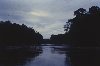 Expedição Pico da Neblina
