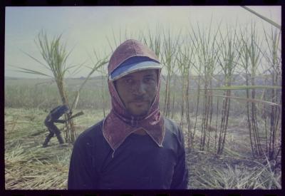 Produção de filme institucional sobre usinas de açúcar